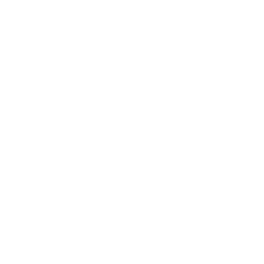 veracity_logo